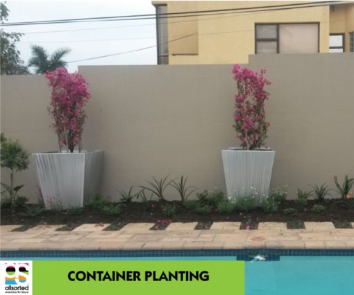 CONTAINER-PLANTING | Allsorted